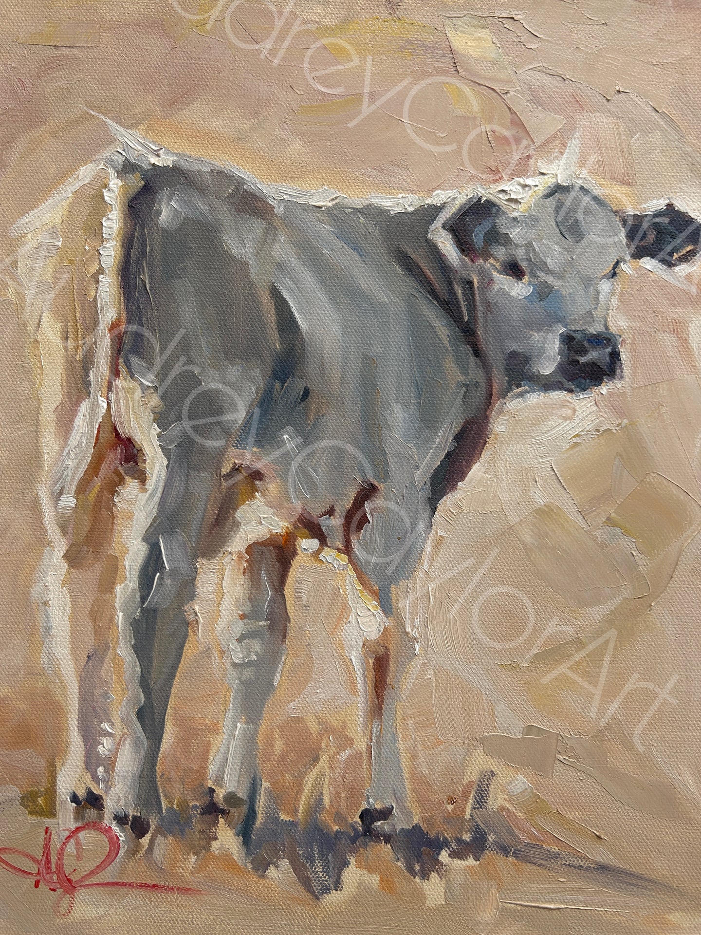 “Sage Creek” 14x11x1.5 oil painting on gallery wrapped canvas- Charolais Calf Art