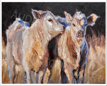 Load image into Gallery viewer, &quot;Bonnie and Clyde&quot; Charolais Calf Ranch Giclee Fine Art Print 16X20
