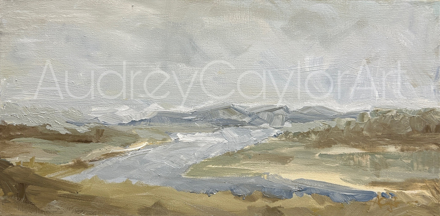 Trinidad Lake Il 10X20 Original Painting on Gallery Wrapped Canvas