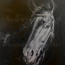 Load image into Gallery viewer, “Black Beauty” Horse Art Oil Painting
