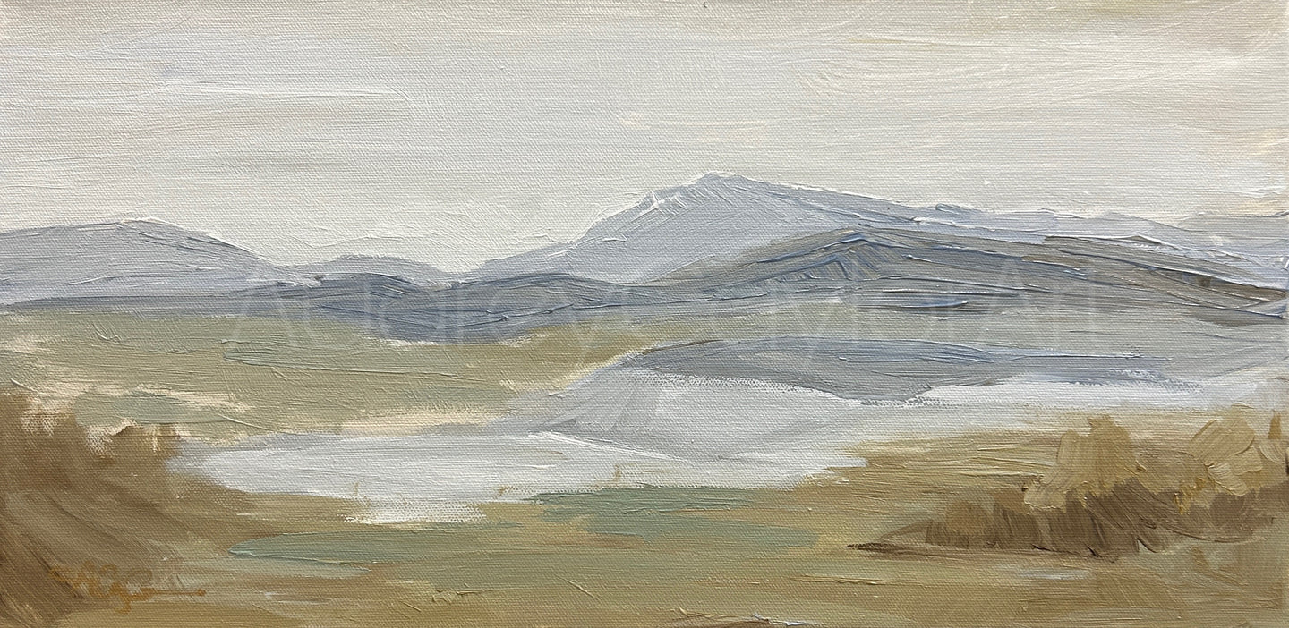 Trinidad Lake I 10X20 Original Painting on Gallery Wrapped Canvas