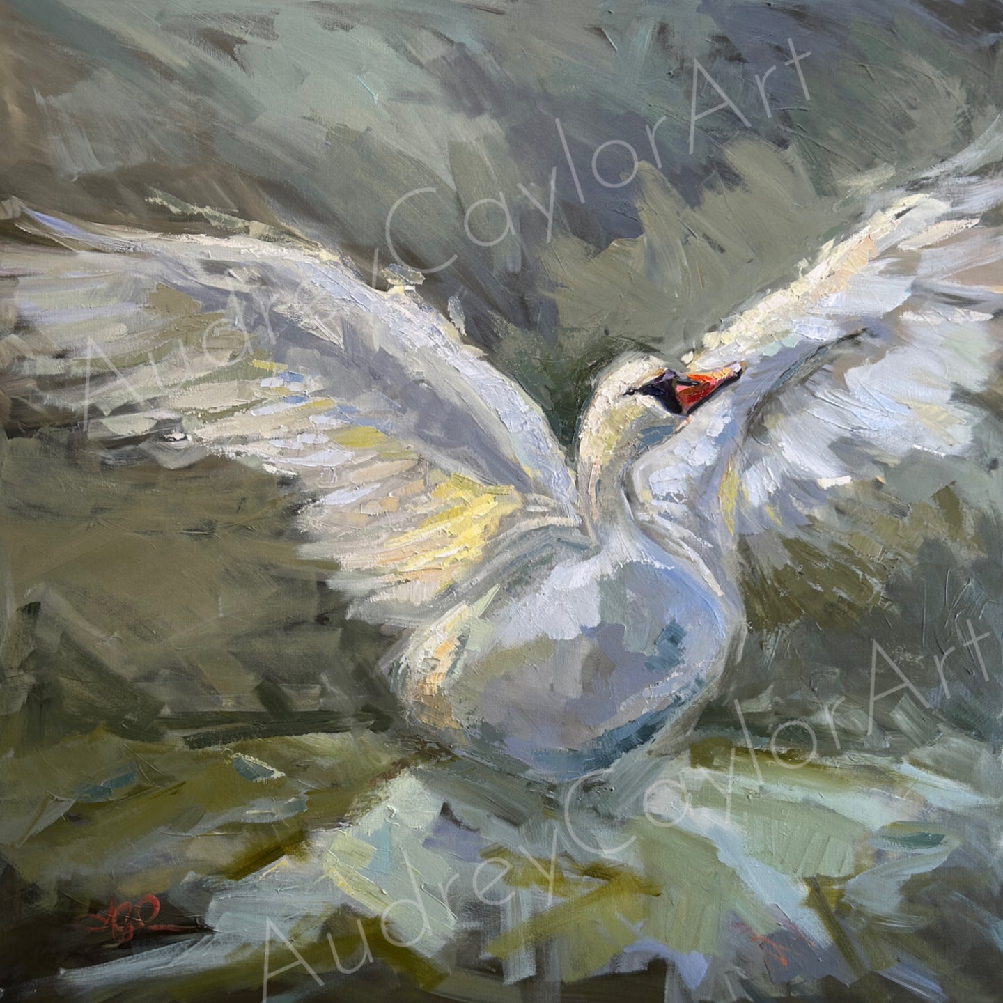 “Landing” Swan Oil Painting
