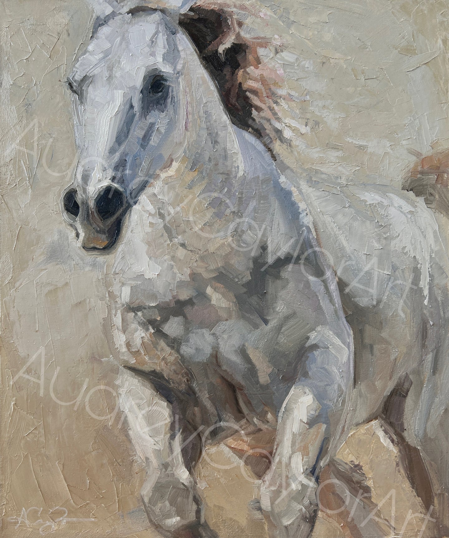 “Sugar” Oil Horse Painting, Horse - Equine -Western Art