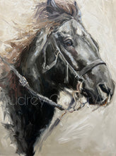 Load image into Gallery viewer, “Bangtail Sterling” Oil Painting- Western Art- Equine Art-Bucking Horse
