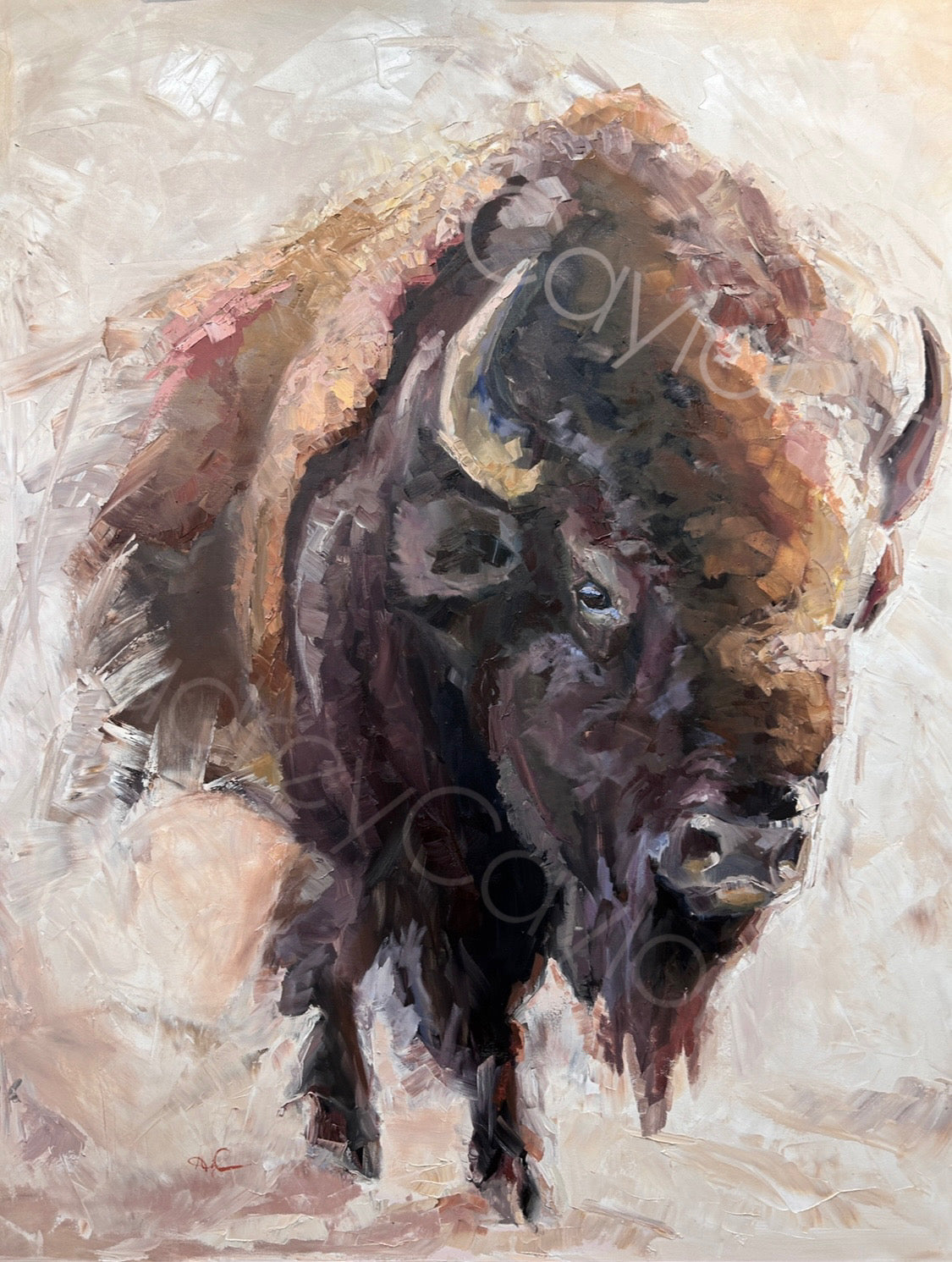 “Dust of a Bison” oil painting, Buffalo- Bison Art