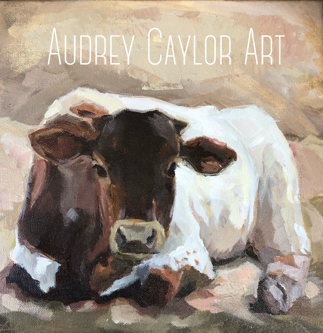 “Fancy” 12X12X1.5 Longhorn Calf Oil on Gallery Wrapped Canvas Painting by Audrey Caylor